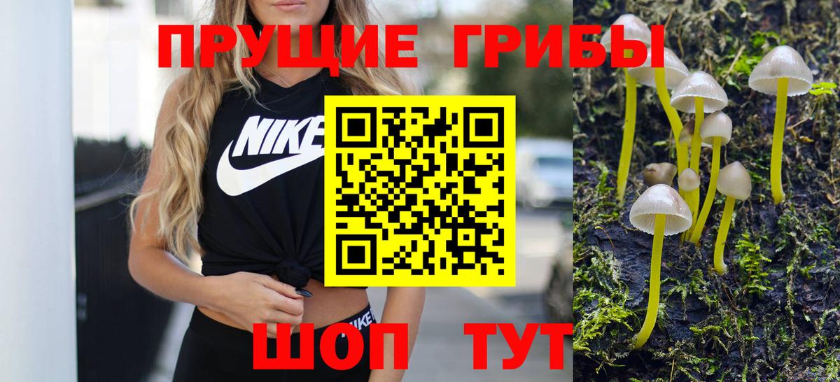 Псилоцибиновые грибы Psilocybine cubensis Дедовск