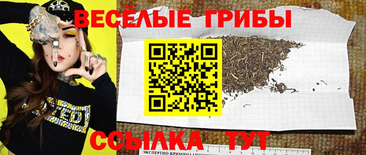 Псилоцибиновые грибы GOLDEN TEACHER  Вход с VPN  Дедовск 